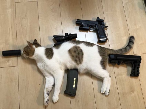 猫 メイン 武器 銃