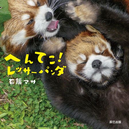 レッサーパンダ
