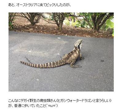 ジュラシック・ワールド 炎の王国 映画 インタビュー 石川由依 吹き替え