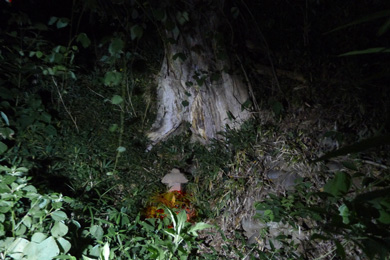 心霊　写真　タクシー　三和交通　井戸　血