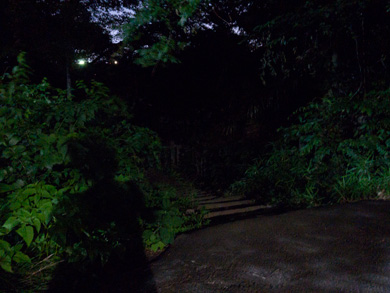 心霊　写真　タクシー　三和交通　いるらしい