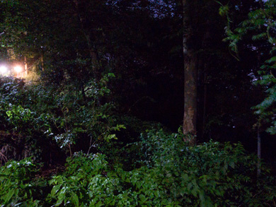 心霊　写真　タクシー　三和交通　いるらしい