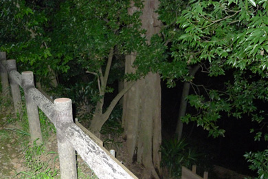 心霊　写真　タクシー　三和交通　木