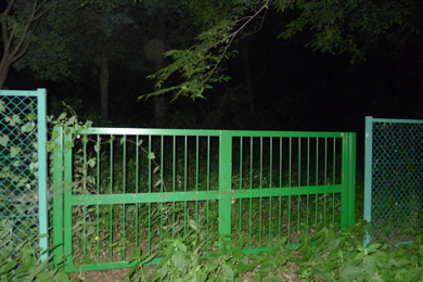 心霊　写真　タクシー　三和交通　フェンス