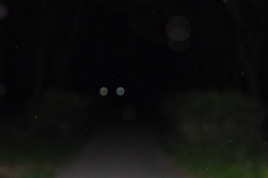 心霊　写真　タクシー　三和交通　オーブ