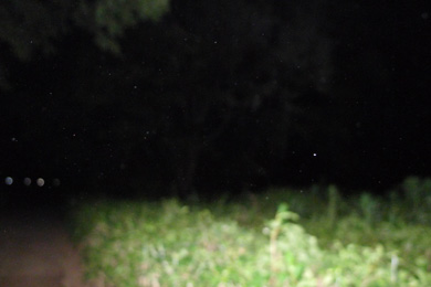 心霊　写真　タクシー　三和交通　謎のキラキラ