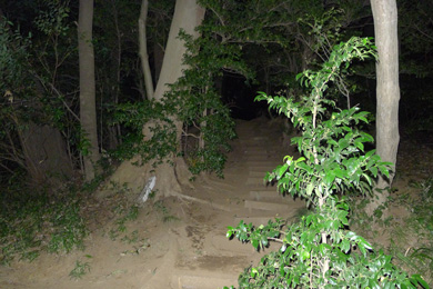 心霊　写真　タクシー　三和交通　塚へ行く階段