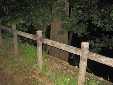 心霊　写真　タクシー　三和交通　木　顔