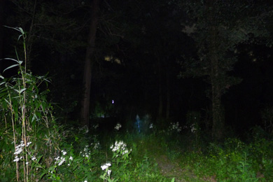 心霊　写真　タクシー　三和交通