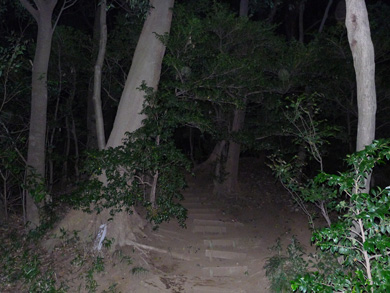 心霊　写真　タクシー　三和交通