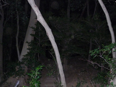 心霊　写真　タクシー　三和交通