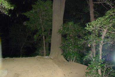 心霊　写真　タクシー　三和交通