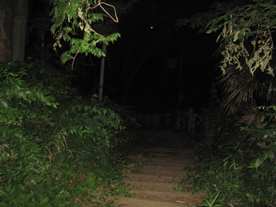 心霊　写真　タクシー　三和交通