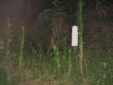 心霊　写真　タクシー　三和交通