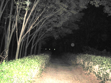 心霊　写真　タクシー　三和交通