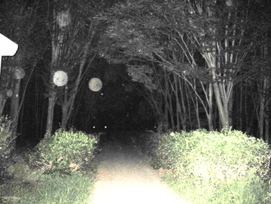 （心霊　写真　タクシー　三和交通