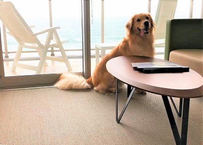 こー君　あご乗せ