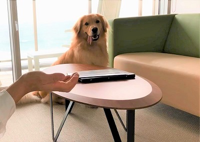 こー君　あご乗せ