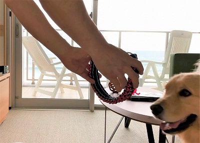 こー君　あご乗せ