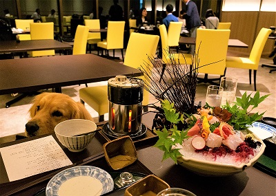 こー君　あご乗せ