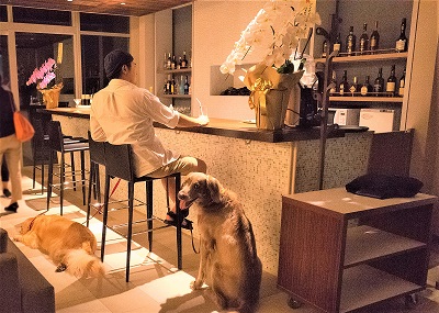 こー君　あご乗せ