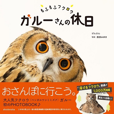 ガルーさんの休日