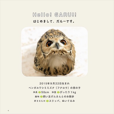 ガルーさんの休日