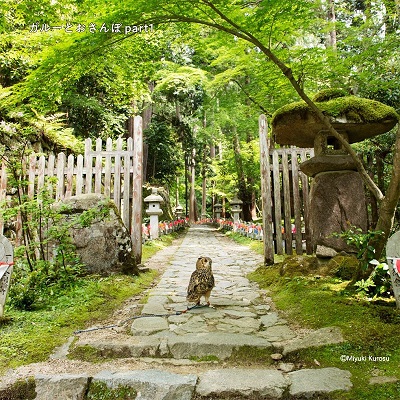 ガルーさんの休日