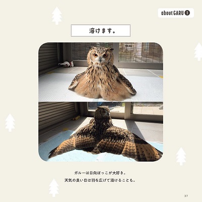 ガルーさんの休日