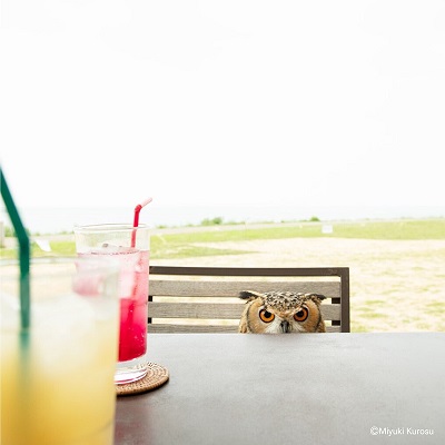 ガルーさんの休日