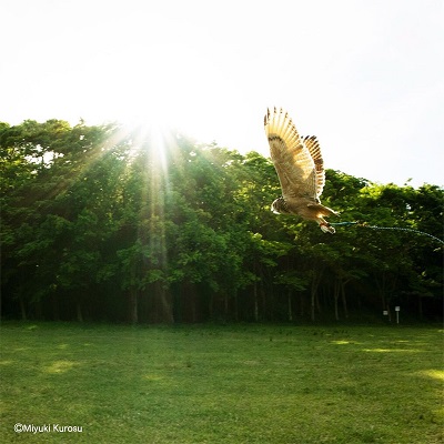 ガルーさんの休日