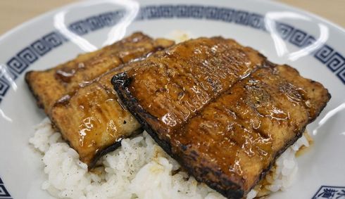 ほぼうなぎ　レビュー　うなぎ　カマボコ　魚のすり身