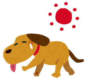 夏バテの犬