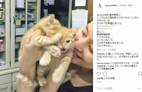 石田ゆり子 はっち みっつ ペット 猫 ハニオ タビ スコティッシュフォールド 立ち耳