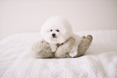 アーニーのおうち