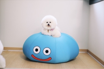 アーニーのおうち