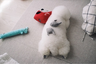 アーニーのおうち