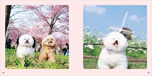 アーニーのおうち