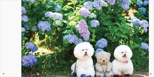 アーニーのおうち