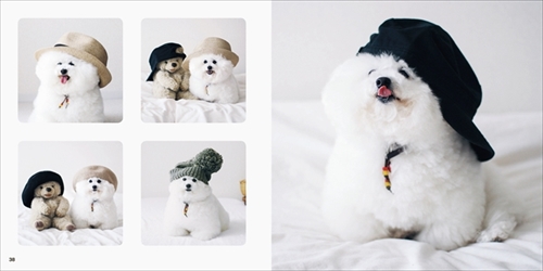 アーニーのおうち