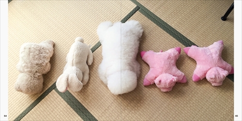 アーニーのおうち