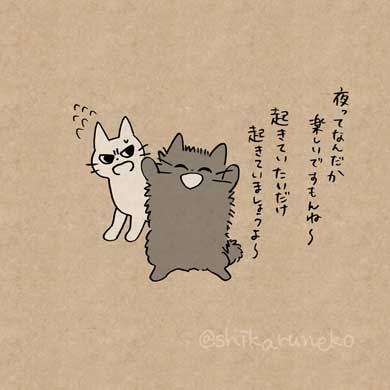 しかるねこ Twitter 叱ってくれる 猫 あまやかすねこ