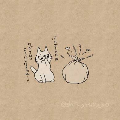 しかるねこ Twitter 叱ってくれる 猫 あまやかすねこ