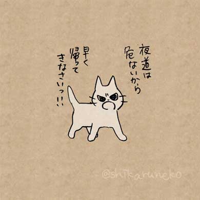 しかるねこ Twitter 叱ってくれる 猫 あまやかすねこ