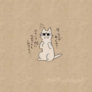 しかるねこ Twitter 叱ってくれる 猫 あまやかすねこ