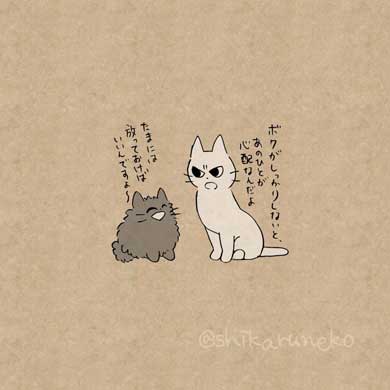 しかるねこ Twitter 叱ってくれる 猫 あまやかすねこ