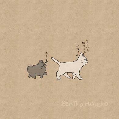 しかるねこ Twitter 叱ってくれる 猫 あまやかすねこ