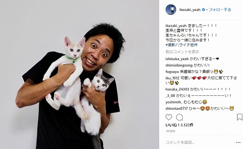 サンシャイン池崎 保護猫 ネコ 風神 雷神 猫の森 ハライチ 岩井勇気