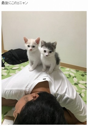 サンシャイン池崎 保護猫 ネコ 風神 雷神 猫の森 ハライチ 岩井勇気