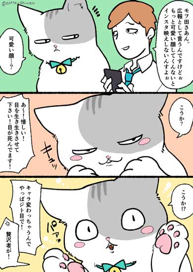 ブラック企業 社員 猫 人生 漫画 モフ田